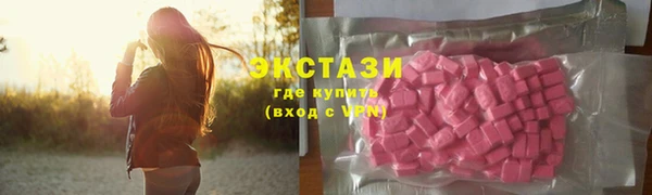 СК Тайга