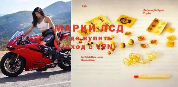 PSILOCYBIN Абдулино