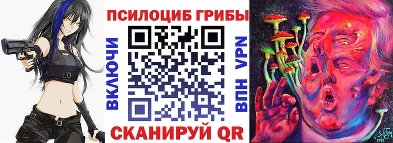 Псилоцибиновые грибы мицелий  ссылка на мегу вход  это состав  Нальчик 